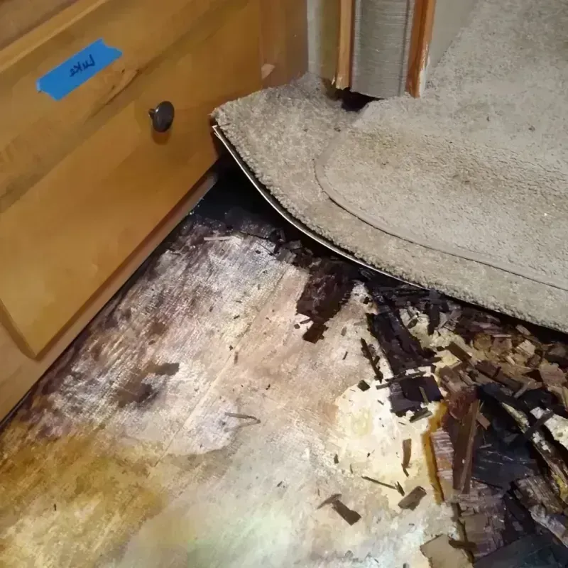 Best Wood Floor Water Damage Service in Washburn, IL